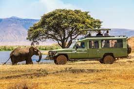 East African Safari Trip