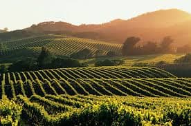 Napa Valley: Wine Country Retreat